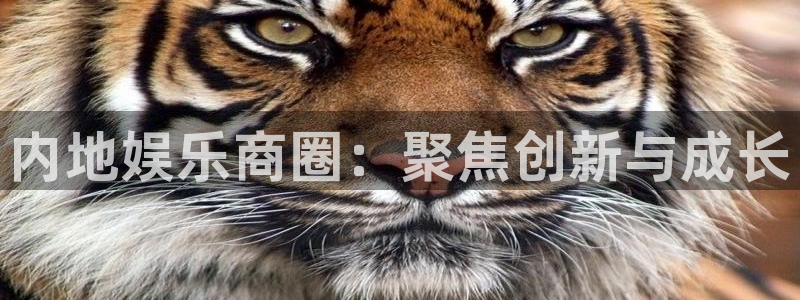 富邦娱乐：内地娱乐商圈：聚焦创新与成长