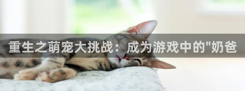富邦娱乐：重生之萌宠大挑战：成为游戏中的\